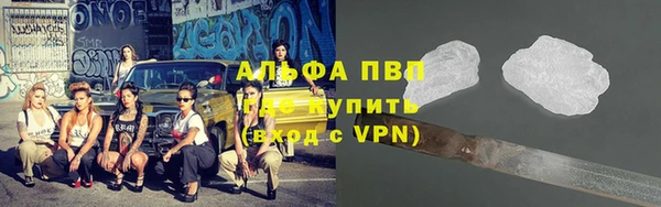 ECSTASY Ладушкин