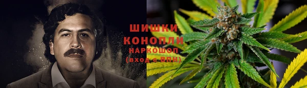 ECSTASY Ладушкин