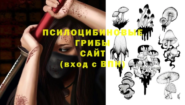 ECSTASY Ладушкин