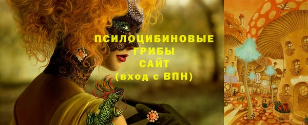 МДМА Лагань