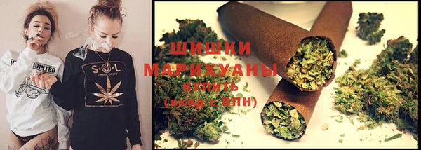 ECSTASY Ладушкин